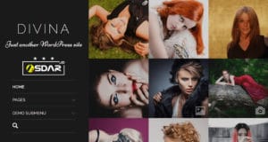 divina wordpress