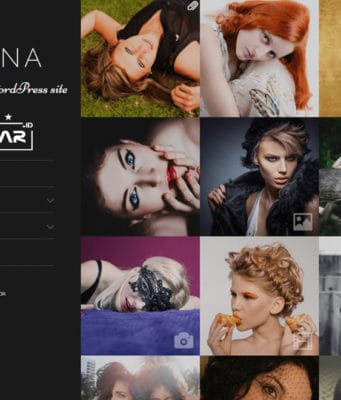 divina wordpress