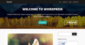 santri wordpress
