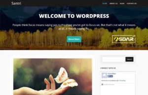 santri wordpress