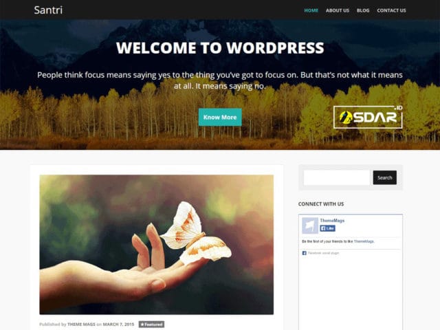 santri wordpress