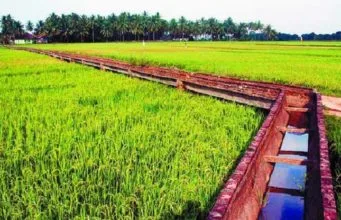 irigasi atau pengairan