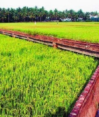 irigasi atau pengairan