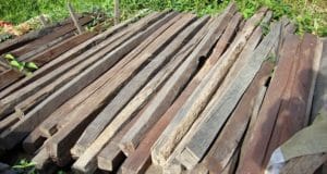 keuntungan dan kerugian kayu untuk konstruksi