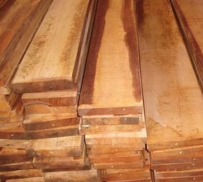 7 Jenis dan Harga Kayu Usuk Per Batang di Pasaran Terbaik 7 Jenis dan Harga Kayu Usuk Per Batang di Pasaran Terbaik