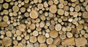 jenis kayu untuk konstruksi rumah
