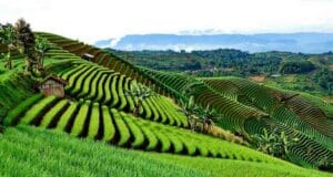 pengertian terasering