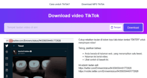 download video tiktok dan twitter 2025