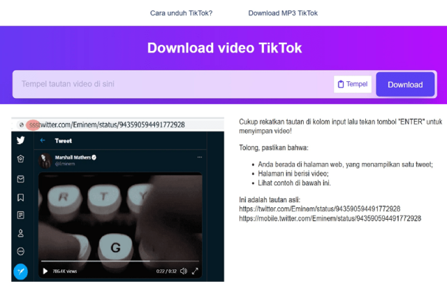 download video tiktok dan twitter 2025