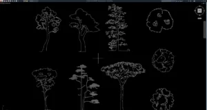 block pohon pinus
