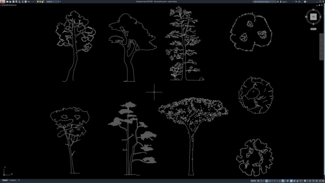 block pohon pinus block pohon pinus