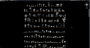 block tanaman hias bagian 2