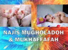 Tips Praktis Membersihkan Najis Mugholadoh dan Mukhaffafah di Rumah najis mugholadoh dan mukhaffafah