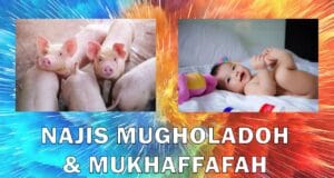 najis mugholadoh dan mukhaffafah