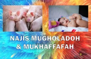 najis mugholadoh dan mukhaffafah