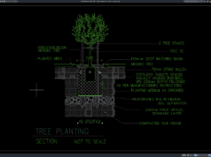 detail penanaman pohon