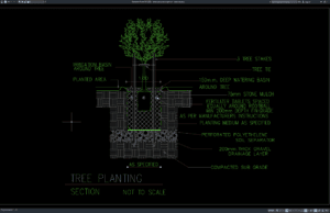 detail penanaman pohon