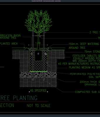 detail penanaman pohon