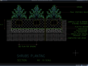 detail penanaman tanaman semak (shrubs)