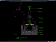 detail penyangga pohon palem