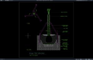 detail penyangga pohon palem