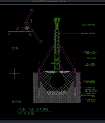 Download Gambar Detail Penyangga Pohon Palem DWG AutoCAD detail penyangga pohon palem