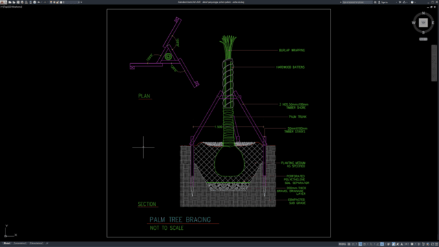 detail penyangga pohon palem