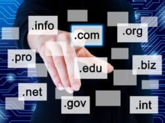 cara memilih nama domain